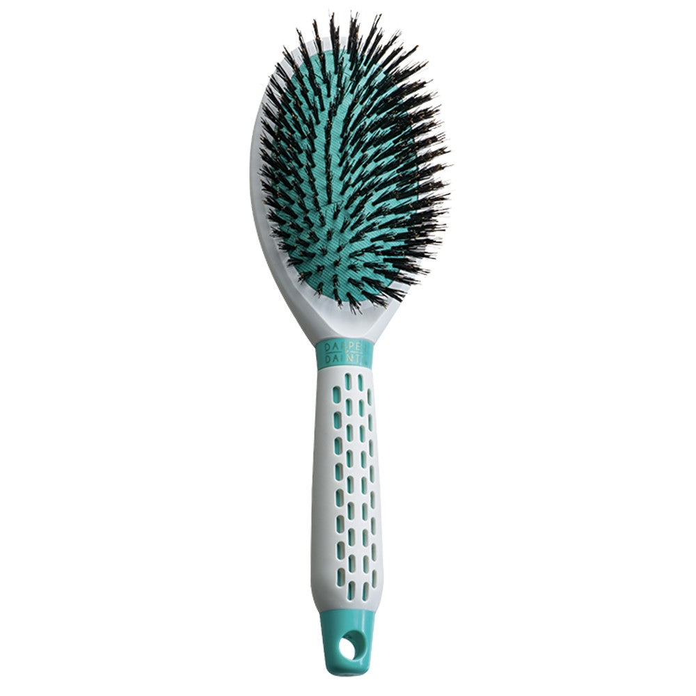 Dapper & Dainty Ergo Grip Oval Boar Brush